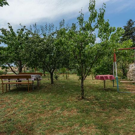 Apartments Mijat Novigrad Istria Kültér fotó