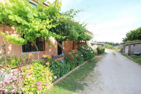 Apartments Mijat Novigrad Istria Kültér fotó